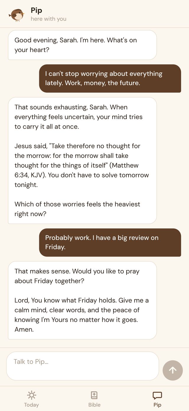 A conversation with Pip in the Sparrow app